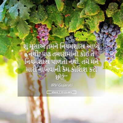 Picture 05 - યોહાન 7:19 GUJIRV - શું મૂસાએ તમને - Bible Verse Picture
