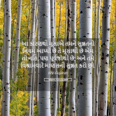 Picture 05 - યોહાન 7:22 GUJIRV - આ કારણથી મૂસાએ - Bible Verse Picture