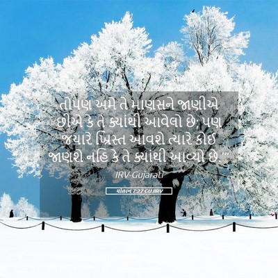 Picture 05 - યોહાન 7:27 GUJIRV - તોપણ અમે તે માણસને - Bible Verse Picture