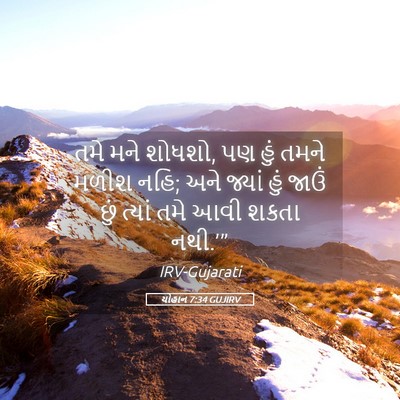 Picture 05 - યોહાન 7:34 GUJIRV - તમે મને શોધશો, પણ - Bible Verse Picture