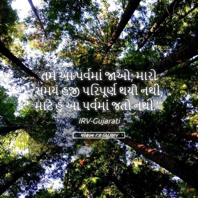 Picture 05 - યોહાન 7:8 GUJIRV - તમે આ પર્વમાં જાઓ; - Bible Verse Picture