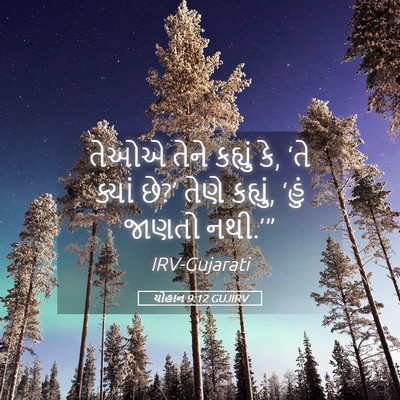 Picture 05 - યોહાન 9:12 GUJIRV - તેઓએ તેને કહ્યું - Bible Verse Picture