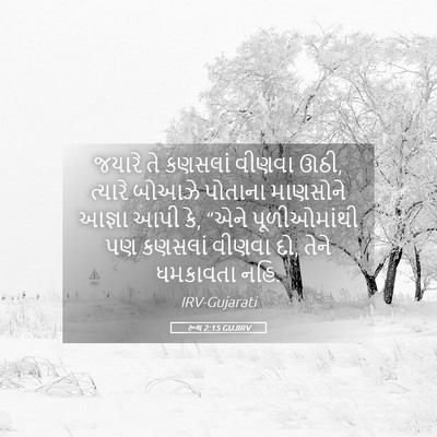 Picture 05 - રૂથ 2:15 GUJIRV - જયારે તે કણસલાં - Bible Verse Picture