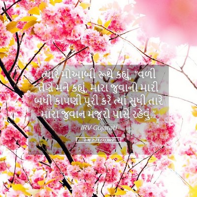 Picture 05 - રૂથ 2:21 GUJIRV - ત્યારે મોઆબી રૂથે - Bible Verse Picture