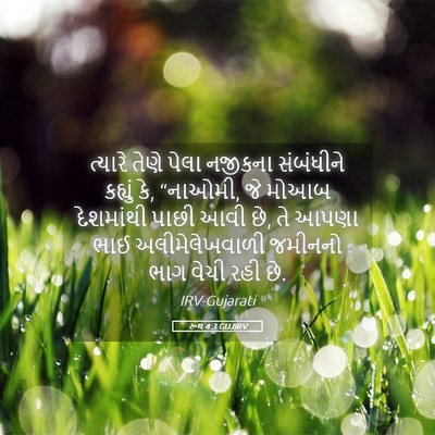 Picture 05 - રૂથ 4:3 GUJIRV - ત્યારે તેણે પેલા - Bible Verse Picture