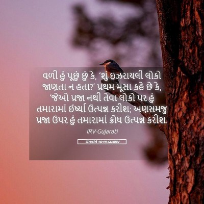 Picture 05 - રોમનોને 10:19 GUJIRV - વળી હું પૂછું છું - Bible Verse Picture