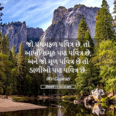 Picture 05 - રોમનોને 11:16 GUJIRV - જો પ્રથમફળ પવિત્ર - Bible Verse Picture