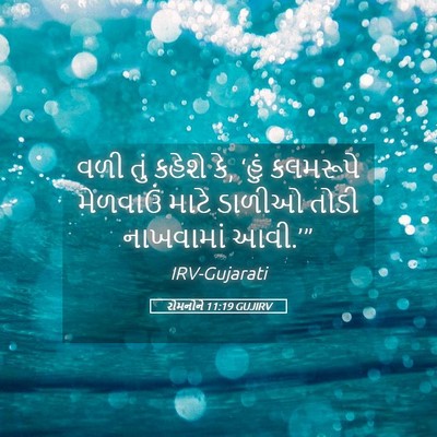 Picture 05 - રોમનોને 11:19 GUJIRV - વળી તું કહેશે કે, - Bible Verse Picture