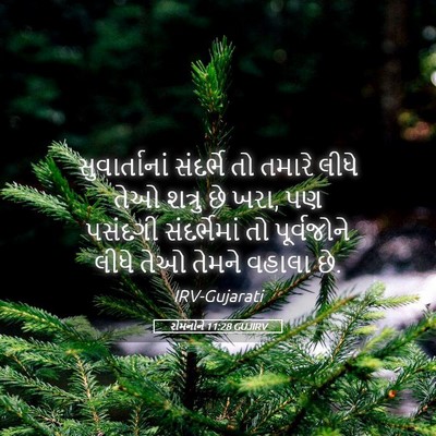 Picture 05 - રોમનોને 11:28 GUJIRV - સુવાર્તાનાં - Bible Verse Picture
