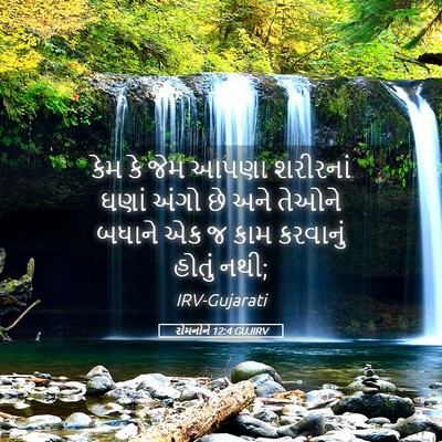 Picture 05 - રોમનોને 12:4 GUJIRV - કેમ કે જેમ આપણા - Bible Verse Picture