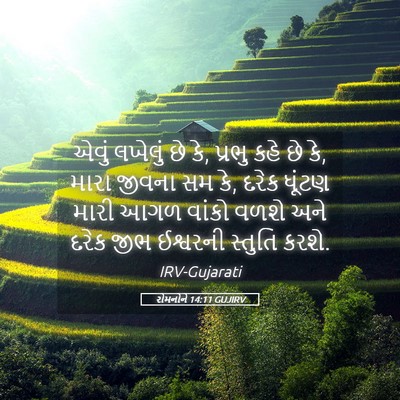 Picture 05 - રોમનોને 14:11 GUJIRV - એવું લખેલું છે કે, - Bible Verse Picture