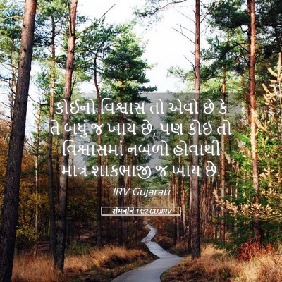 Picture 05 - રોમનોને 14:2 GUJIRV - કોઈનો વિશ્વાસ તો - Bible Verse Picture