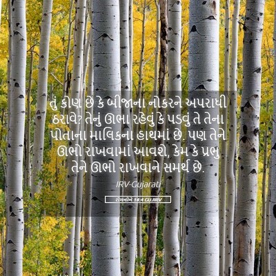 Picture 05 - રોમનોને 14:4 GUJIRV - તું કોણ છે કે - Bible Verse Picture