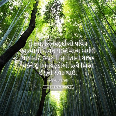 Picture 05 - રોમનોને 15:15 GUJIRV - તે છતાં બિનયહૂદીઓ - Bible Verse Picture