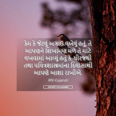 Picture 05 - રોમનોને 15:4 GUJIRV - કેમ કે જેટલું અગાઉ - Bible Verse Picture