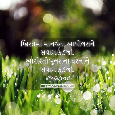 Picture 05 - રોમનોને 16:10 GUJIRV - ખ્રિસ્તમાં - Bible Verse Picture