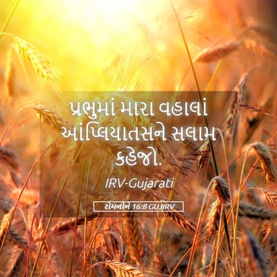 Picture 05 - રોમનોને 16:8 GUJIRV - પ્રભુમાં મારા - Bible Verse Picture