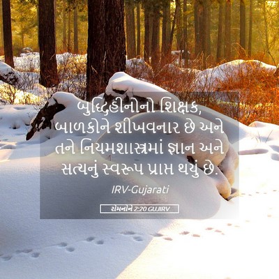Picture 05 - રોમનોને 2:20 GUJIRV - બુદ્ધિહીનોનો - Bible Verse Picture