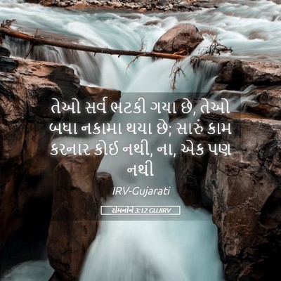 Picture 05 - રોમનોને 3:12 GUJIRV - તેઓ સર્વ ભટકી ગયા - Bible Verse Picture