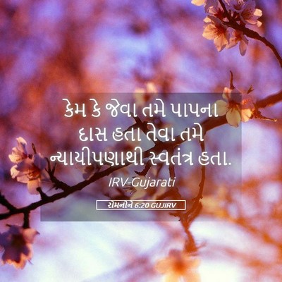 Picture 05 - રોમનોને 6:20 GUJIRV - કેમ કે જેવા તમે - Bible Verse Picture