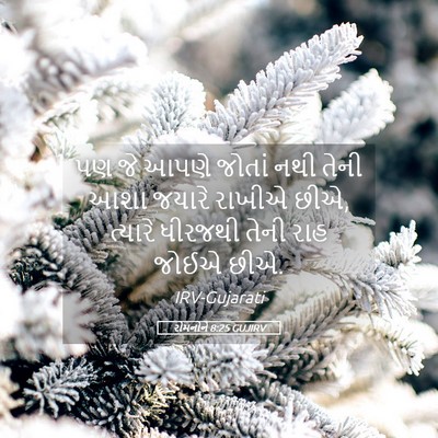 Picture 05 - રોમનોને 8:25 GUJIRV - પણ જે આપણે જોતાં - Bible Verse Picture