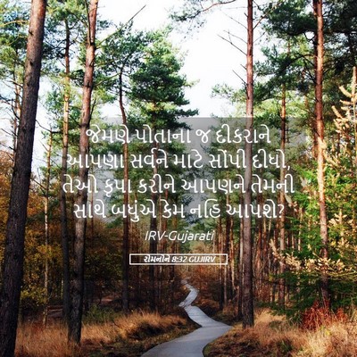 Picture 05 - રોમનોને 8:32 GUJIRV - જેમણે પોતાના જ - Bible Verse Picture