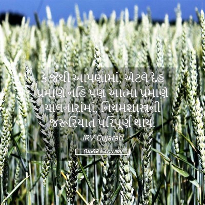 Picture 05 - રોમનોને 8:4 GUJIRV - કે જેથી આપણામાં, - Bible Verse Picture