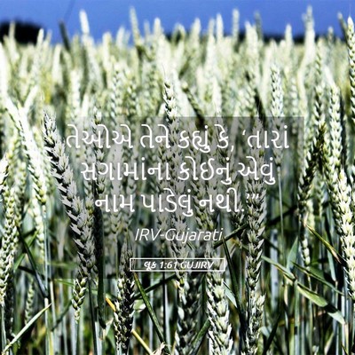 Picture 05 - લૂક 1:61 GUJIRV - તેઓએ તેને કહ્યું - Bible Verse Picture