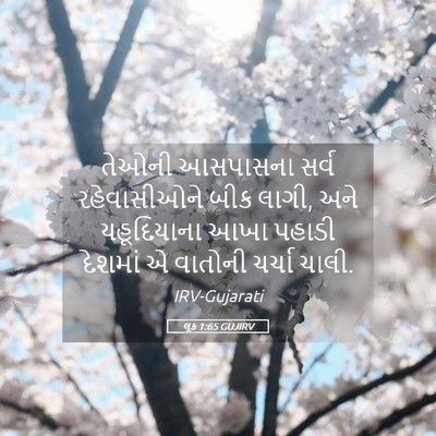 Picture 05 - લૂક 1:65 GUJIRV - તેઓની આસપાસના - Bible Verse Picture