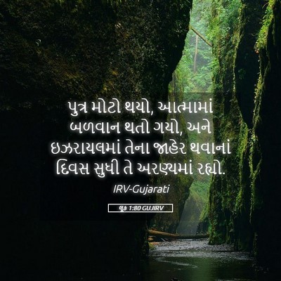 Picture 05 - લૂક 1:80 GUJIRV - પુત્ર મોટો થયો, - Bible Verse Picture
