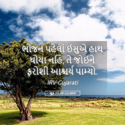 Picture 05 - લૂક 11:38 GUJIRV - ભોજન પહેલાં ઈસુએ - Bible Verse Picture