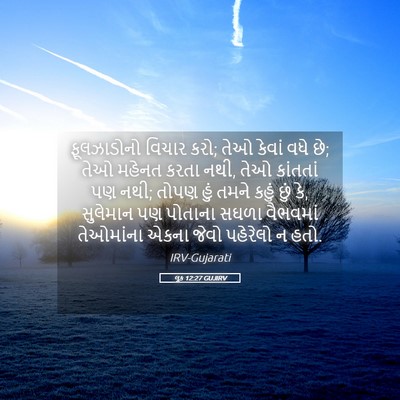 Picture 05 - લૂક 12:27 GUJIRV - ફૂલઝાડોનો વિચાર - Bible Verse Picture