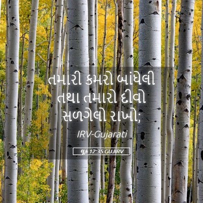 Picture 05 - લૂક 12:35 GUJIRV - તમારી કમરો - Bible Verse Picture