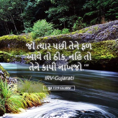 Picture 05 - લૂક 13:9 GUJIRV - જો ત્યાર પછી તેને - Bible Verse Picture