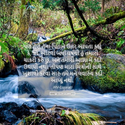 Picture 05 - લૂક 15:29 GUJIRV - પણ તેણે તેના - Bible Verse Picture