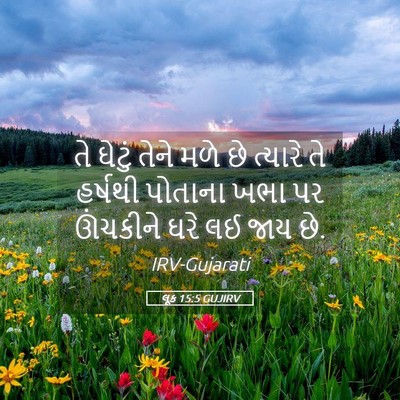 Picture 05 - લૂક 15:5 GUJIRV - તે ઘેટું તેને મળે - Bible Verse Picture