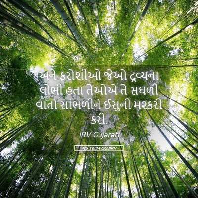 Picture 05 - લૂક 16:14 GUJIRV - અને ફરોશીઓ જેઓ - Bible Verse Picture