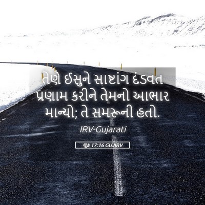 Picture 05 - લૂક 17:16 GUJIRV - તેણે ઈસુને - Bible Verse Picture
