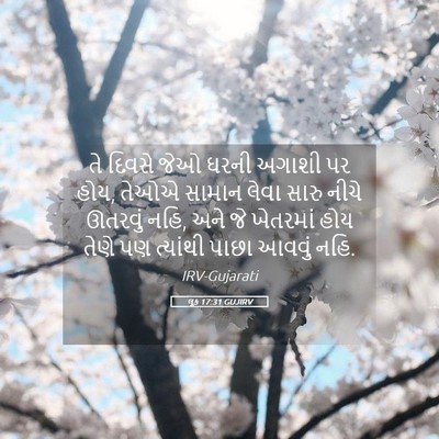 Picture 05 - લૂક 17:31 GUJIRV - તે દિવસે જેઓ ઘરની - Bible Verse Picture