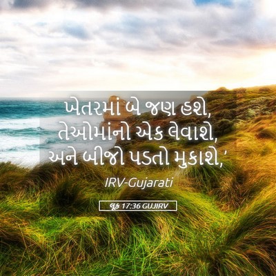 Picture 05 - લૂક 17:36 GUJIRV - ખેતરમાં બે જણ હશે, - Bible Verse Picture