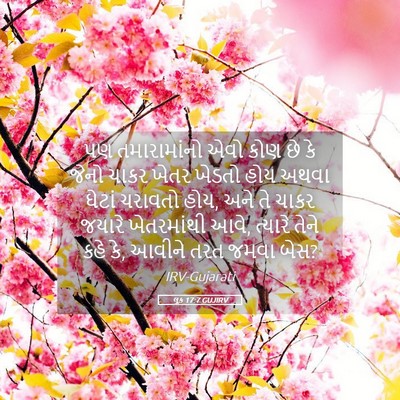 Picture 05 - લૂક 17:7 GUJIRV - પણ તમારામાંનો એવો - Bible Verse Picture