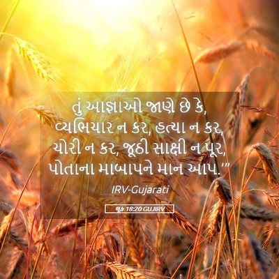 Picture 05 - લૂક 18:20 GUJIRV - તું આજ્ઞાઓ જાણે છે - Bible Verse Picture