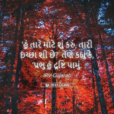 Picture 05 - લૂક 18:41 GUJIRV - ‘હું તારે માટે શું - Bible Verse Picture