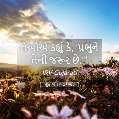 Picture 05 - લૂક 19:34 GUJIRV - તેઓએ કહ્યું કે, - Bible Verse Picture