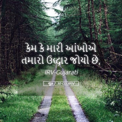 Picture 05 - લૂક 2:30 GUJIRV - કેમ કે મારી આંખોએ - Bible Verse Picture