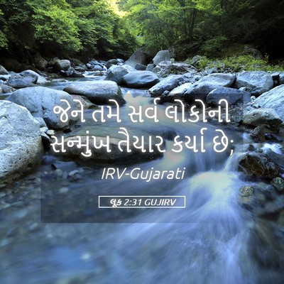 Picture 05 - લૂક 2:31 GUJIRV - જેને તમે સર્વ - Bible Verse Picture