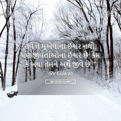 Picture 05 - લૂક 20:38 GUJIRV - હવે તે મૂએલાના - Bible Verse Picture