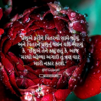 Picture 05 - લૂક 22:61 GUJIRV - પ્રભુએ ફરીને - Bible Verse Picture