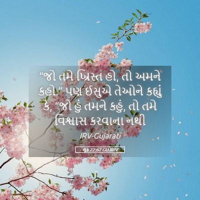 Picture 05 - લૂક 22:67 GUJIRV - “જો તમે ખ્રિસ્ત હો, - Bible Verse Picture