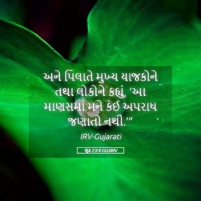Picture 05 - લૂક 23:4 GUJIRV - અને પિલાતે મુખ્ય - Bible Verse Picture